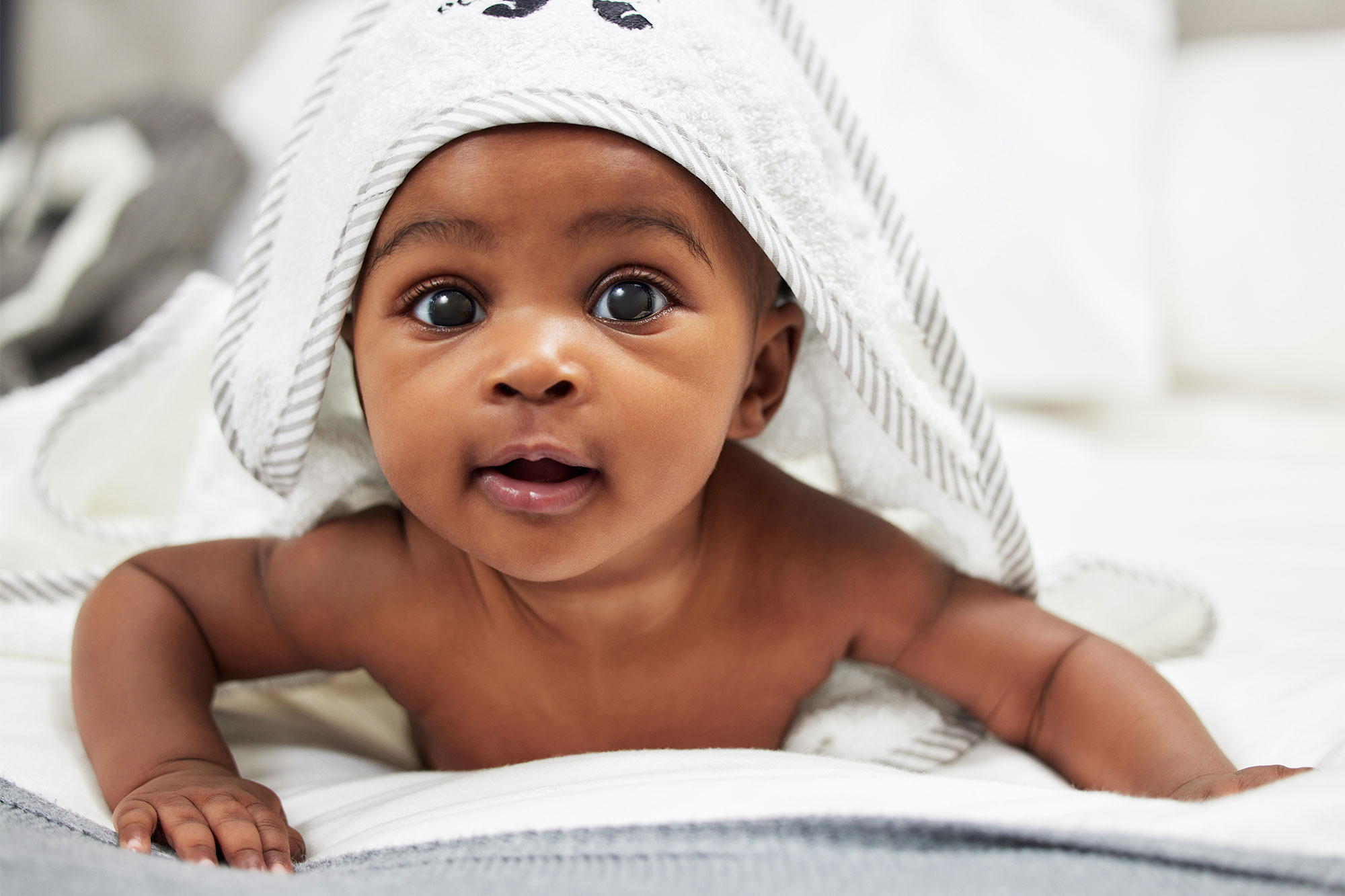 Cover image for Bearing Roots Doula